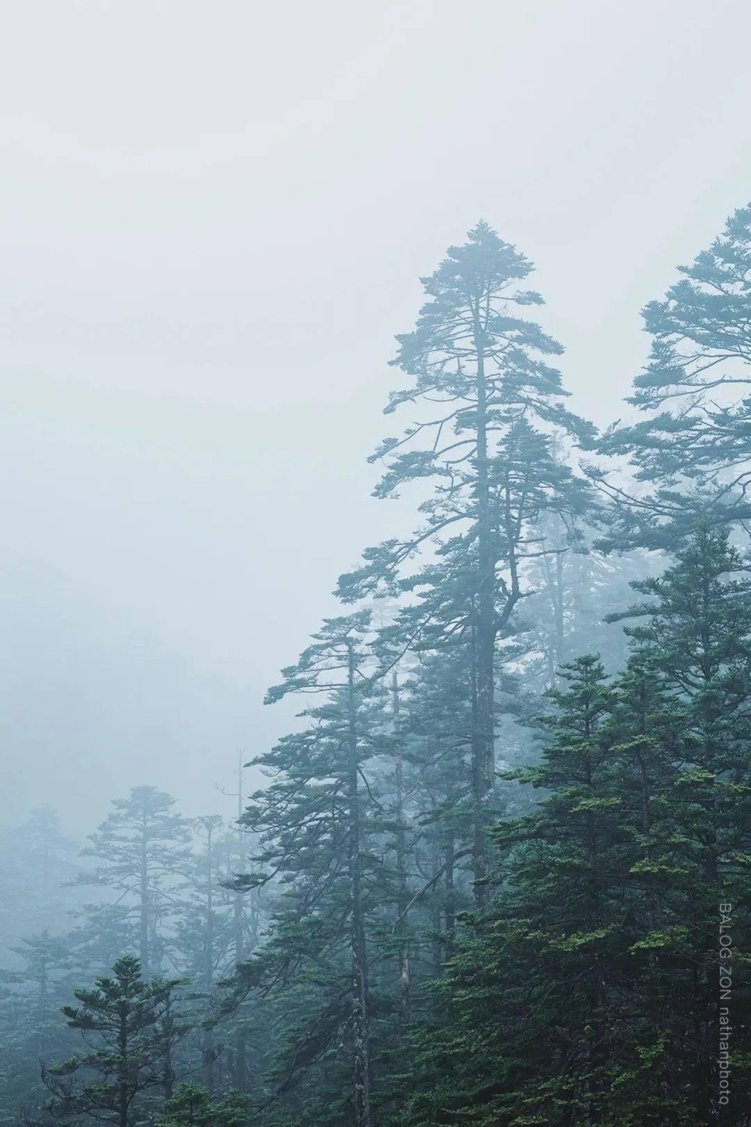 游历雅记:有一种惬意 叫游历鹤壁(诗歌)